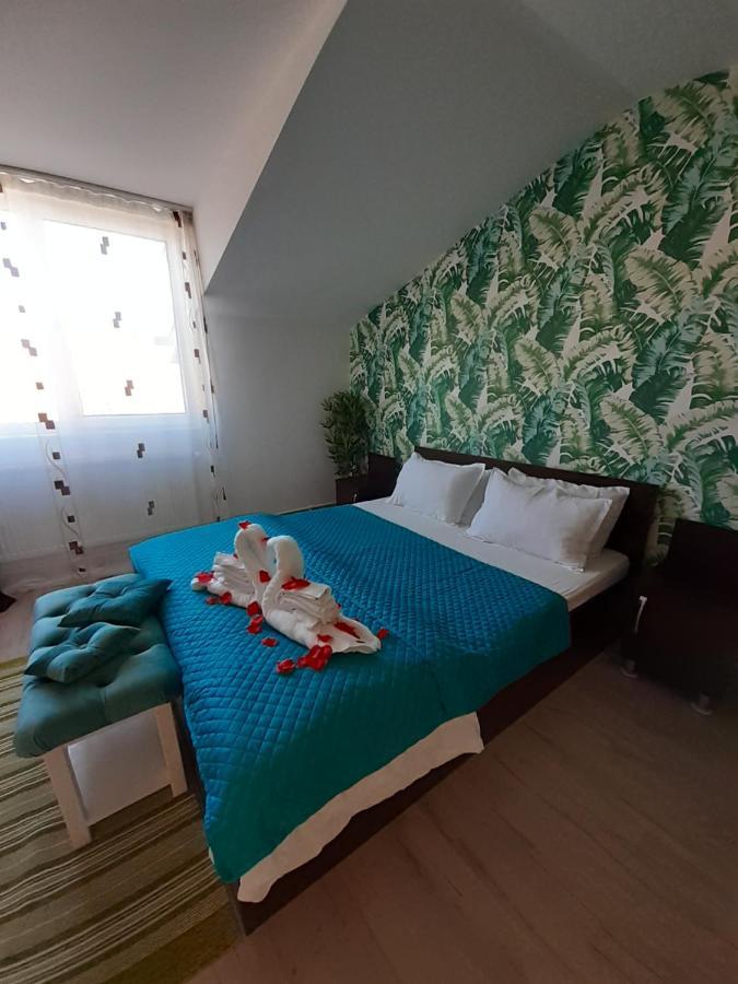 Hotel Casa Lions Timișoara Zewnętrze zdjęcie