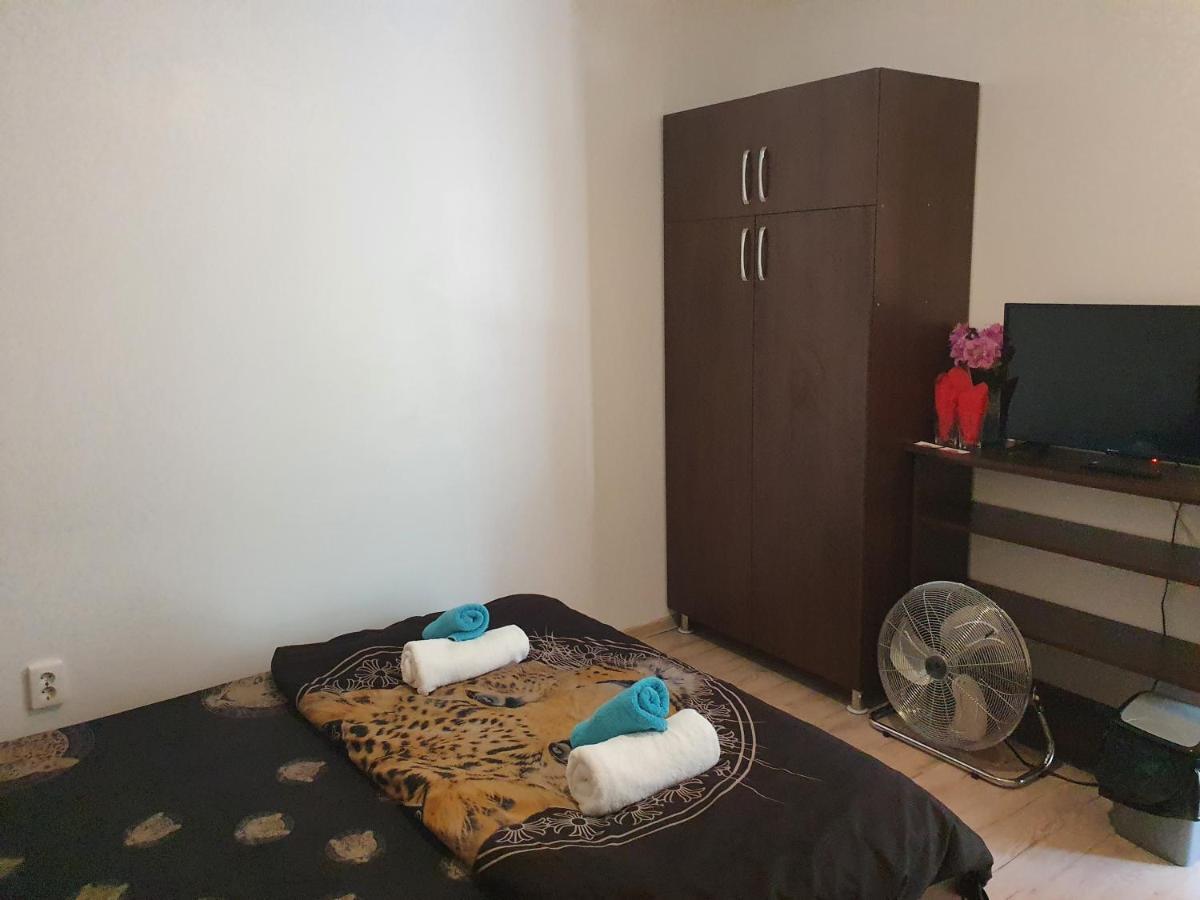 Hotel Casa Lions Timișoara Zewnętrze zdjęcie