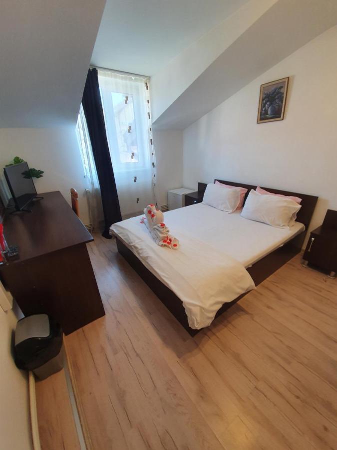 Hotel Casa Lions Timișoara Zewnętrze zdjęcie