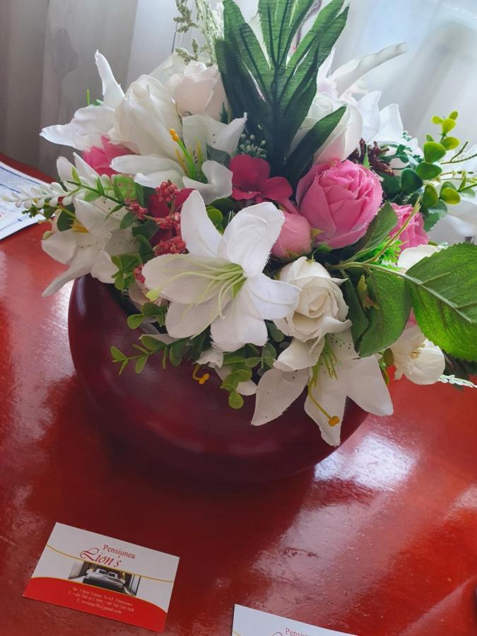 Hotel Casa Lions Timișoara Zewnętrze zdjęcie