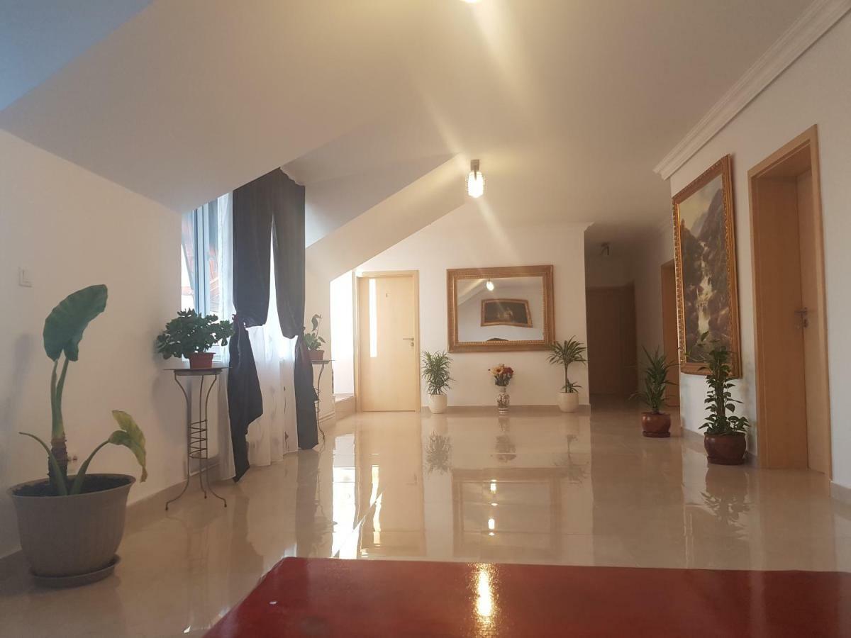 Hotel Casa Lions Timișoara Zewnętrze zdjęcie