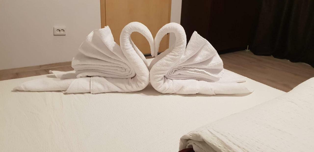 Hotel Casa Lions Timișoara Zewnętrze zdjęcie