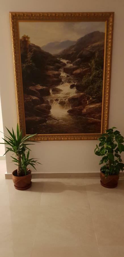 Hotel Casa Lions Timișoara Zewnętrze zdjęcie