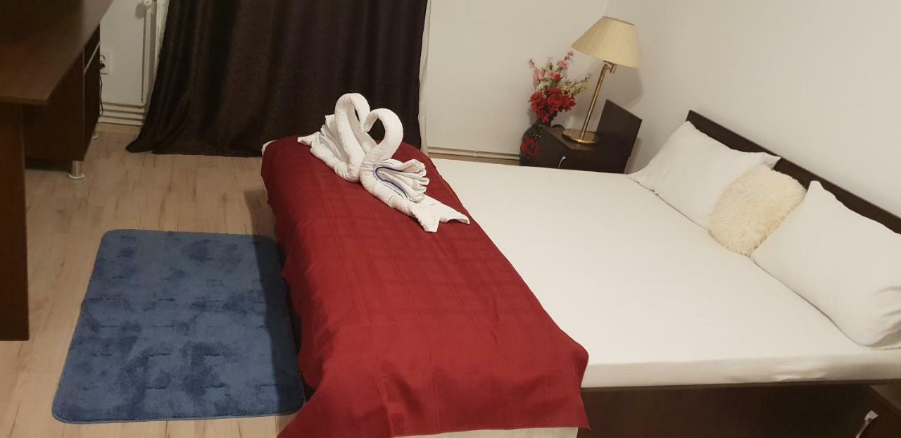 Hotel Casa Lions Timișoara Zewnętrze zdjęcie