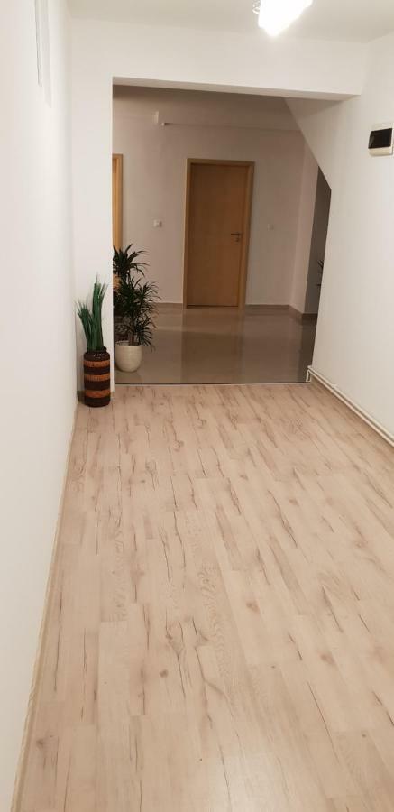 Hotel Casa Lions Timișoara Zewnętrze zdjęcie