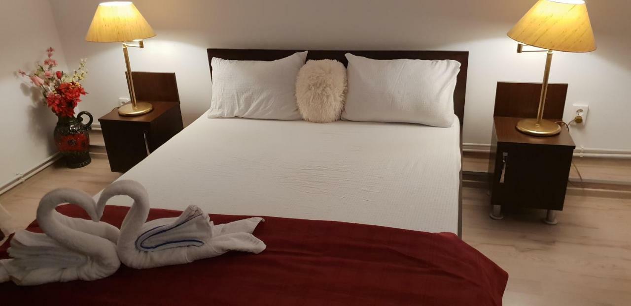 Hotel Casa Lions Timișoara Zewnętrze zdjęcie