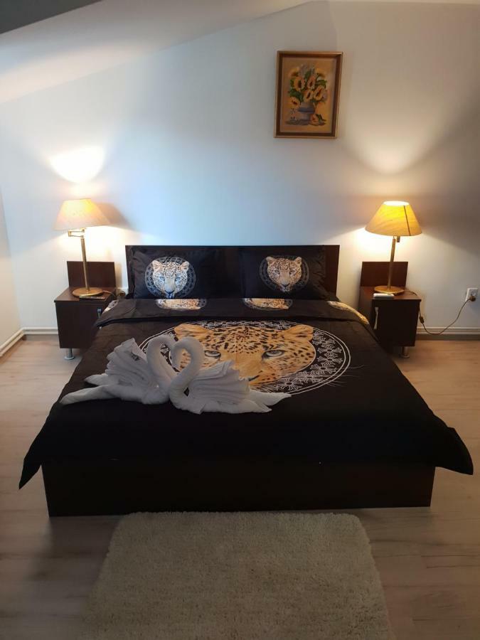 Hotel Casa Lions Timișoara Zewnętrze zdjęcie