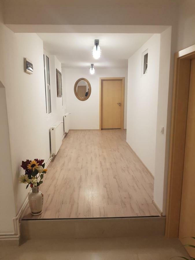 Hotel Casa Lions Timișoara Zewnętrze zdjęcie